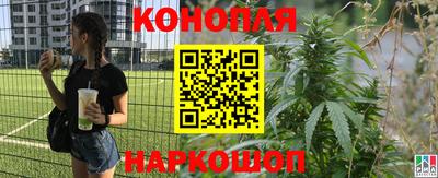 крисы Можайск